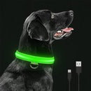 Coleira LED luminosa para cães - Primeiro Mundo