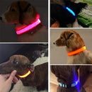 Coleira LED luminosa para cães - Primeiro Mundo